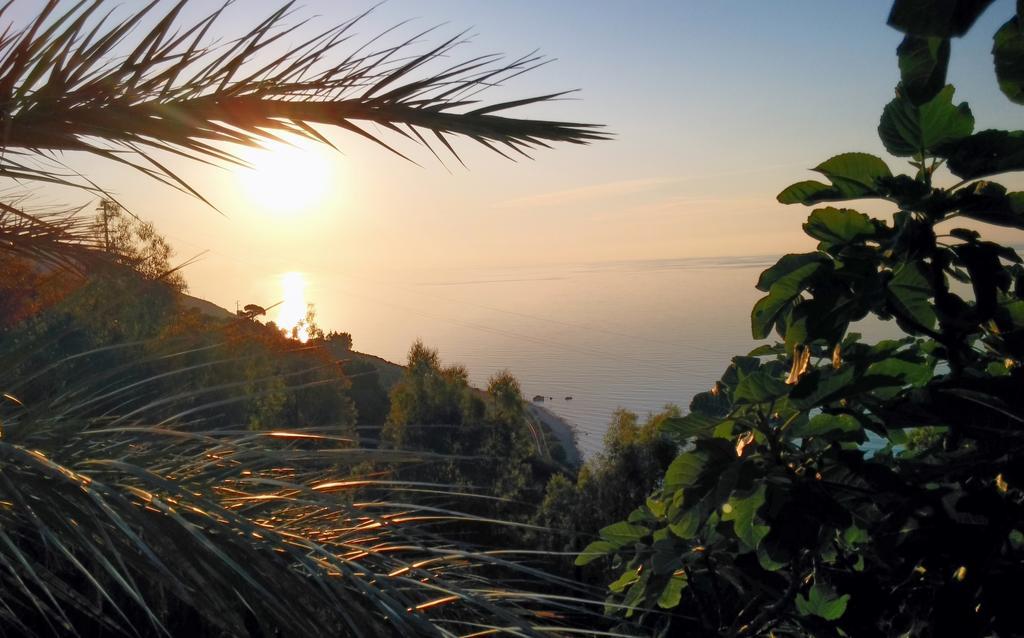 Terramare Holiday home *