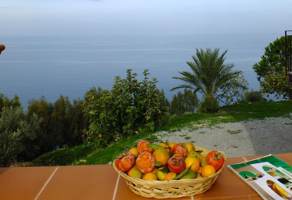 Terramare Holiday home